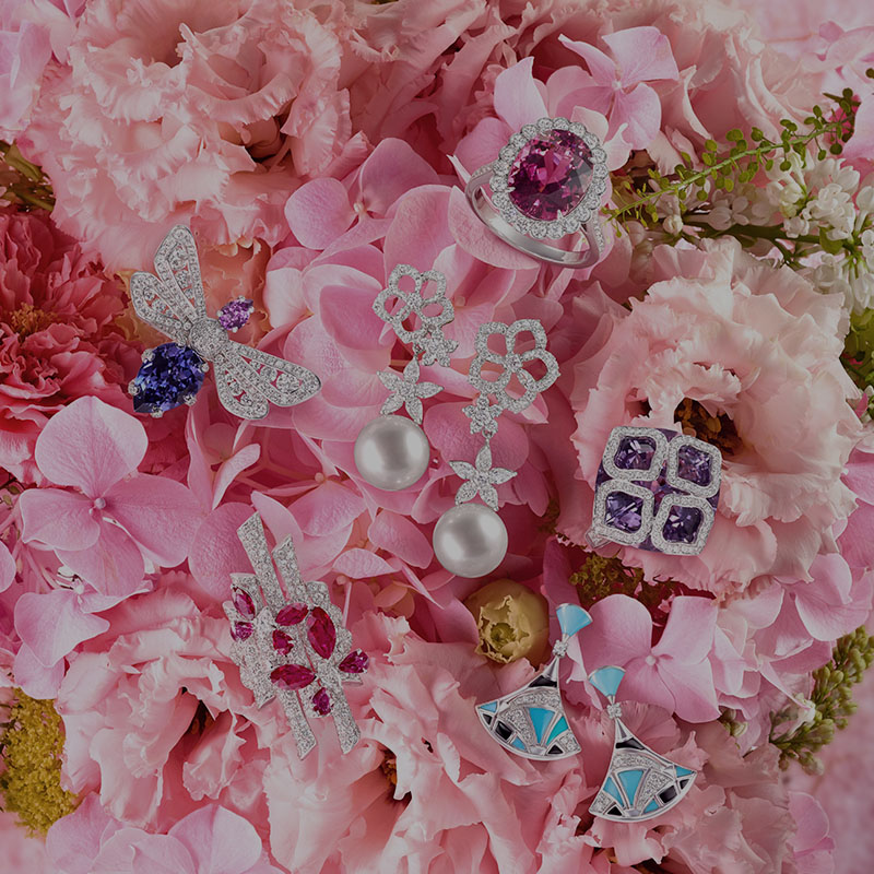 Professional Photography